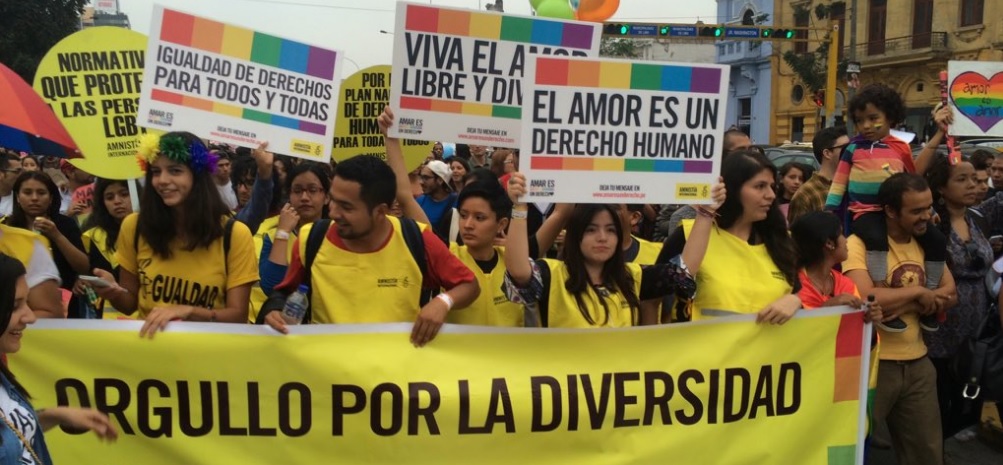 Movilización pacífica en Lima a favor de los derechos de la comunidad homosexual. Foto: La Mula