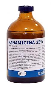 kanamicina, medicamento inyectable. 